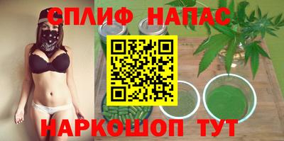 ECSTASY Обь