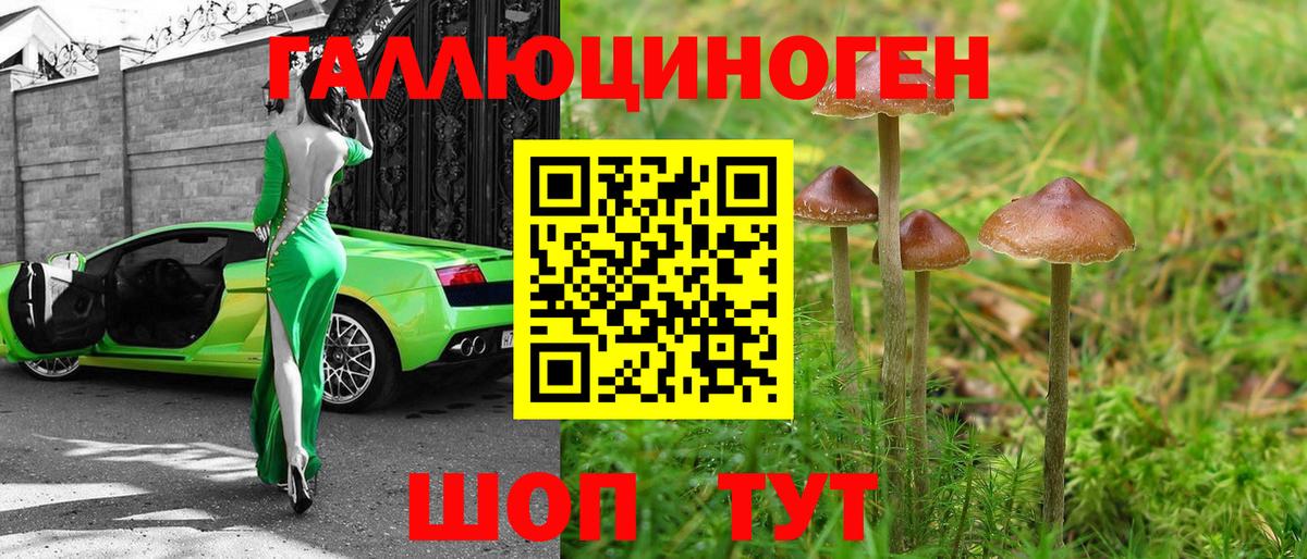 Галлюциногенные грибы мухоморы Артём