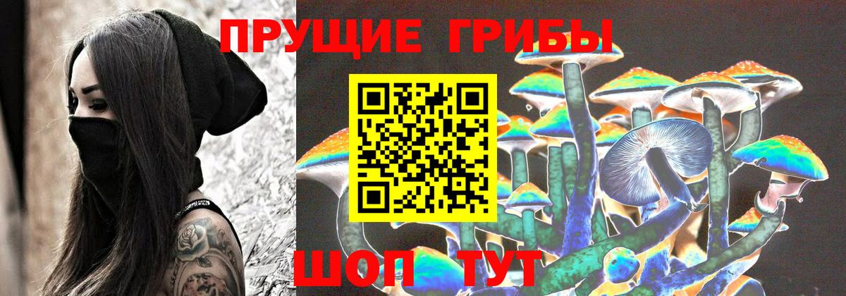 Артём  Псилоцибиновые грибы прущие грибы  Вход с VPN 